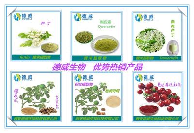 番瀉葉提取物 功效、市場價格與西安產業概況